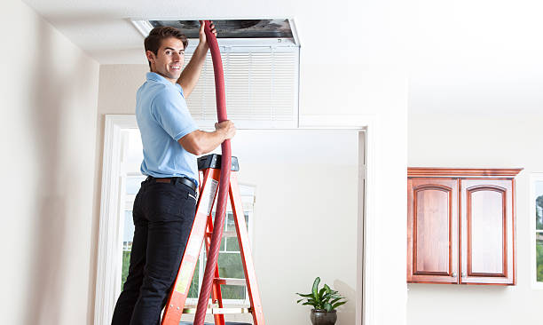 Air Duct Mold Removal in Shenandoah, LA